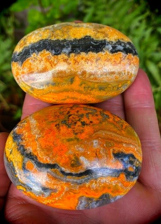 Large Bumblebee Palm stones