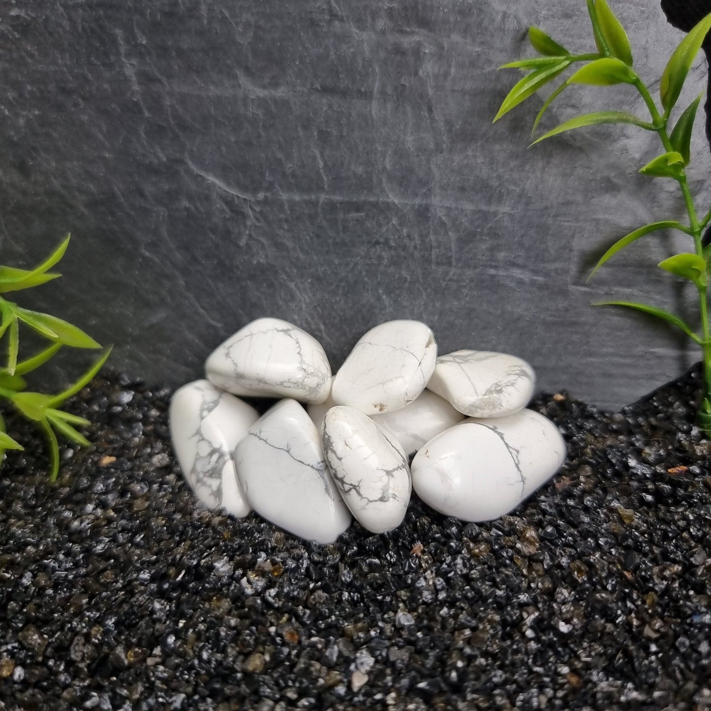 White Howlite