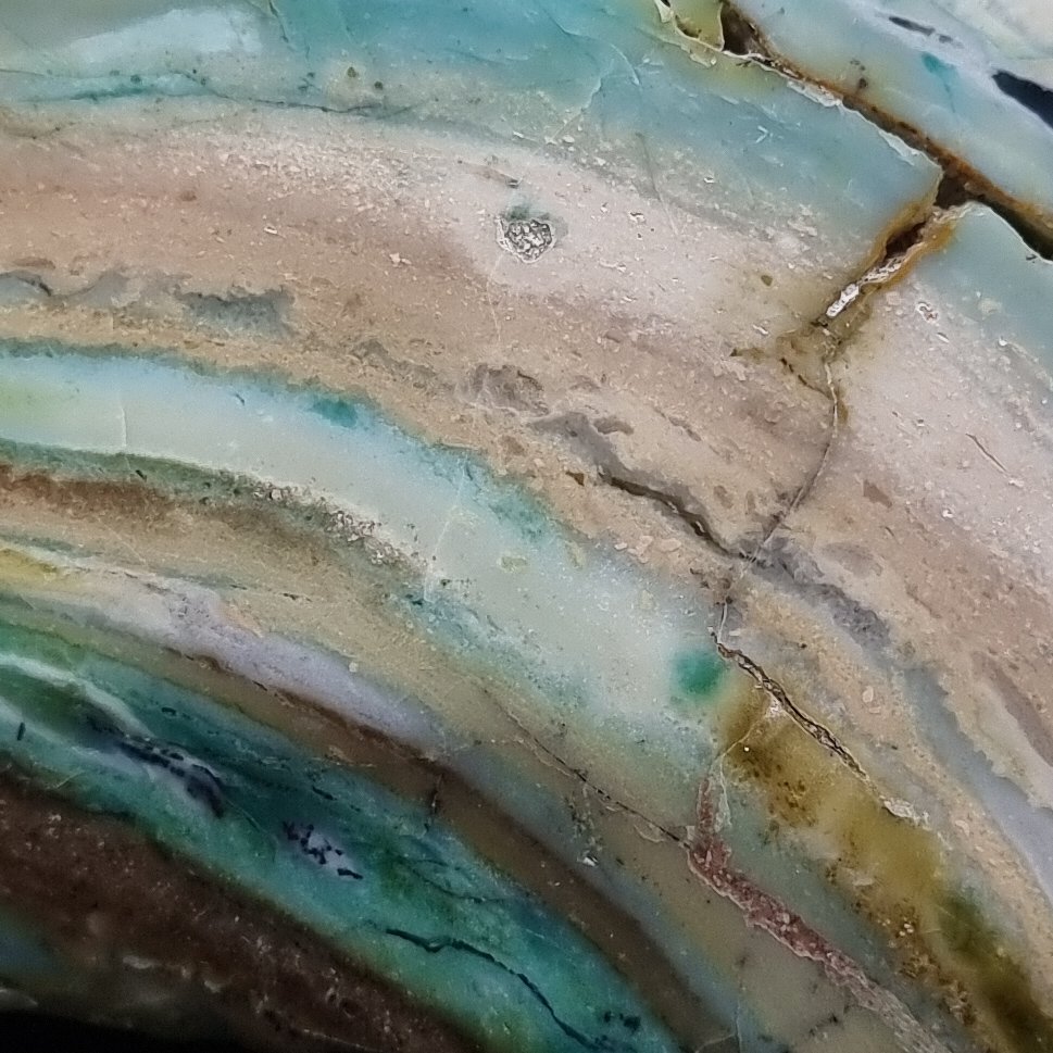 Blue Opal within fossilised wood