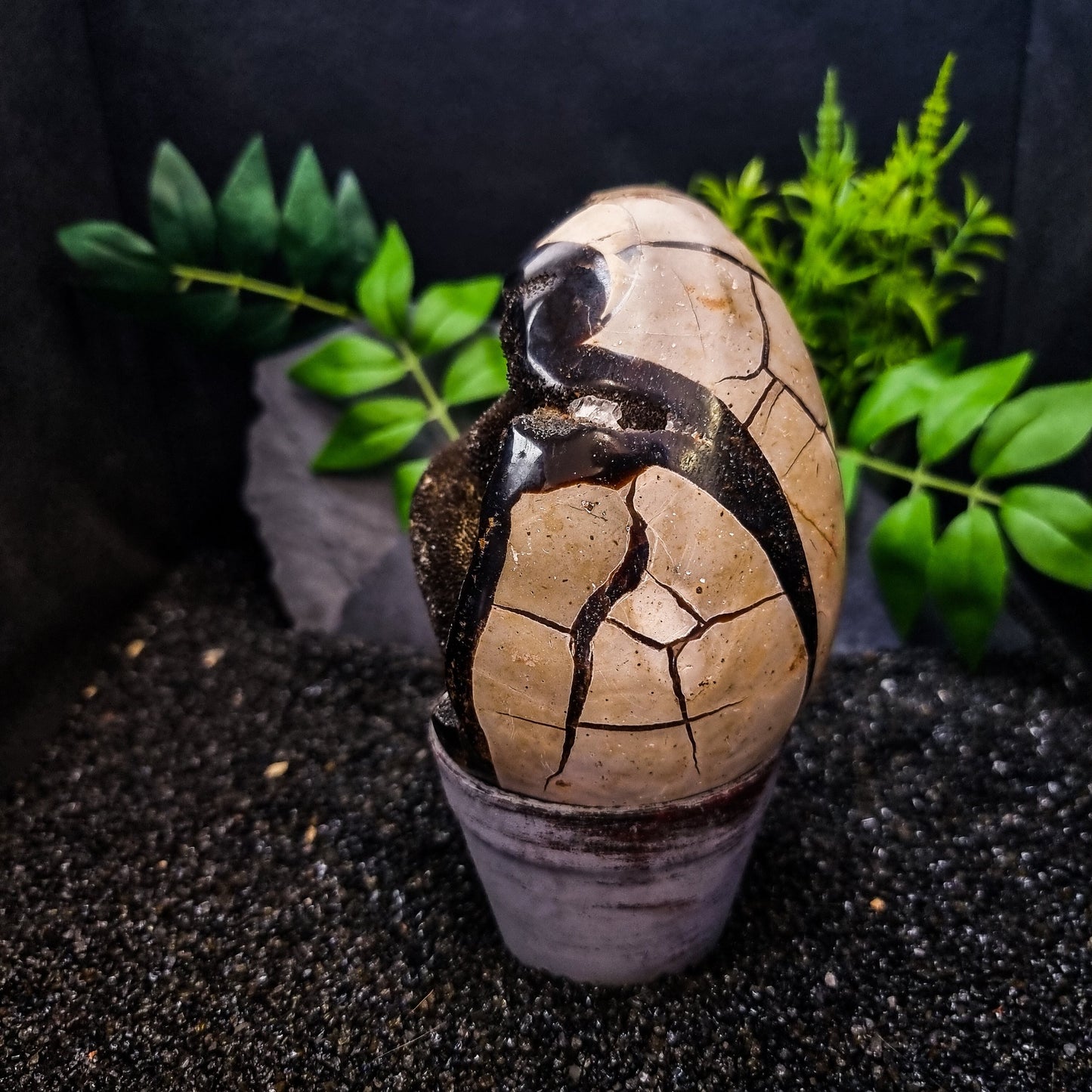 Septarian Egg