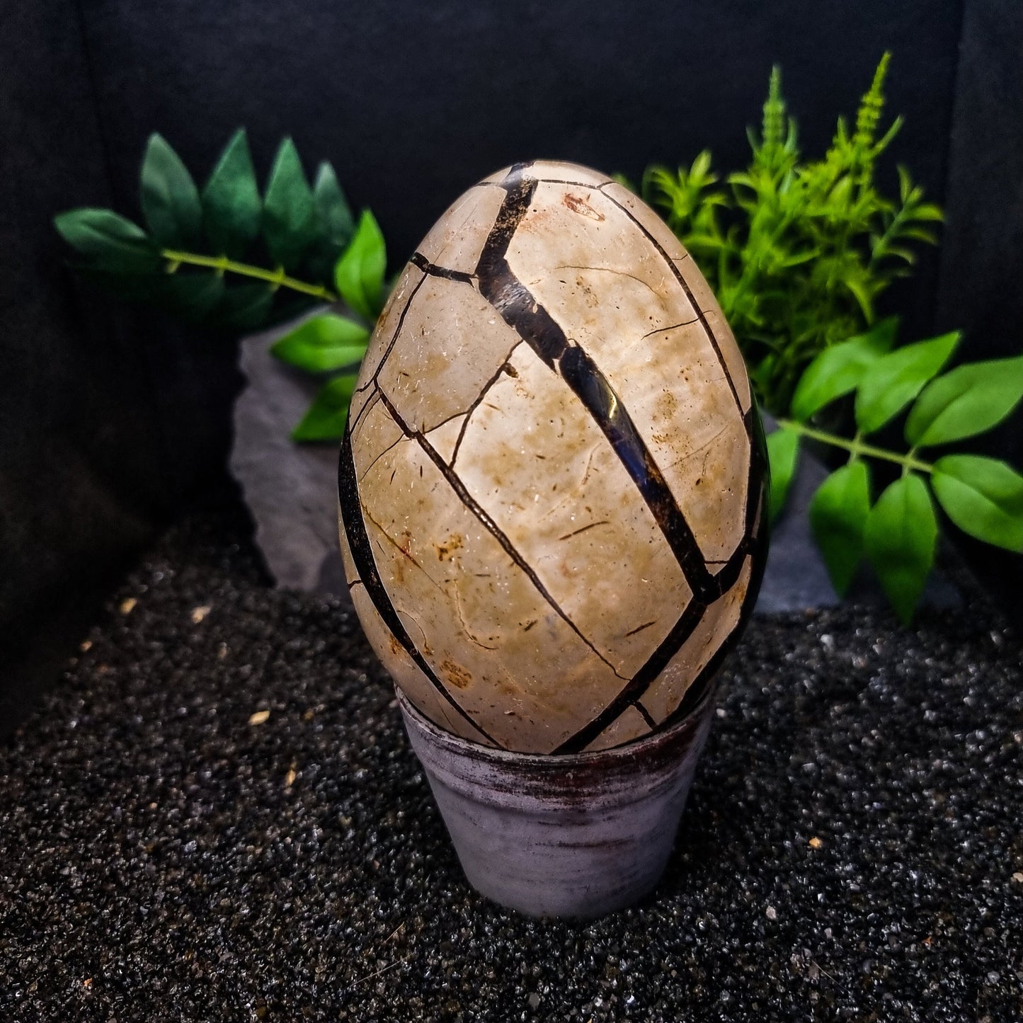 Septarian Egg
