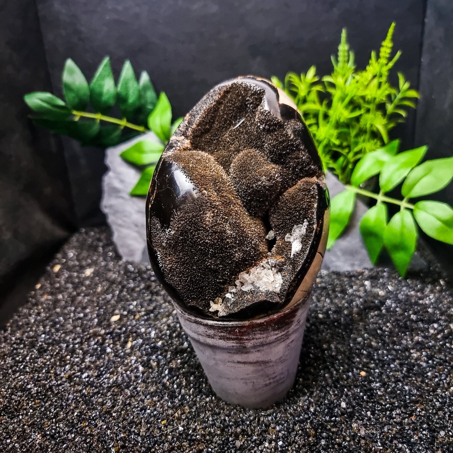 Septarian Egg