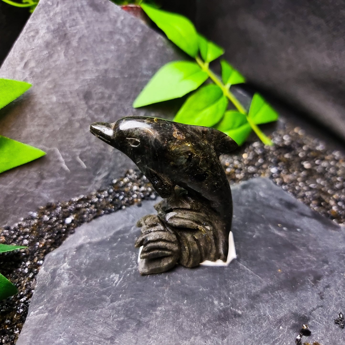 Larvikite Dolphin
