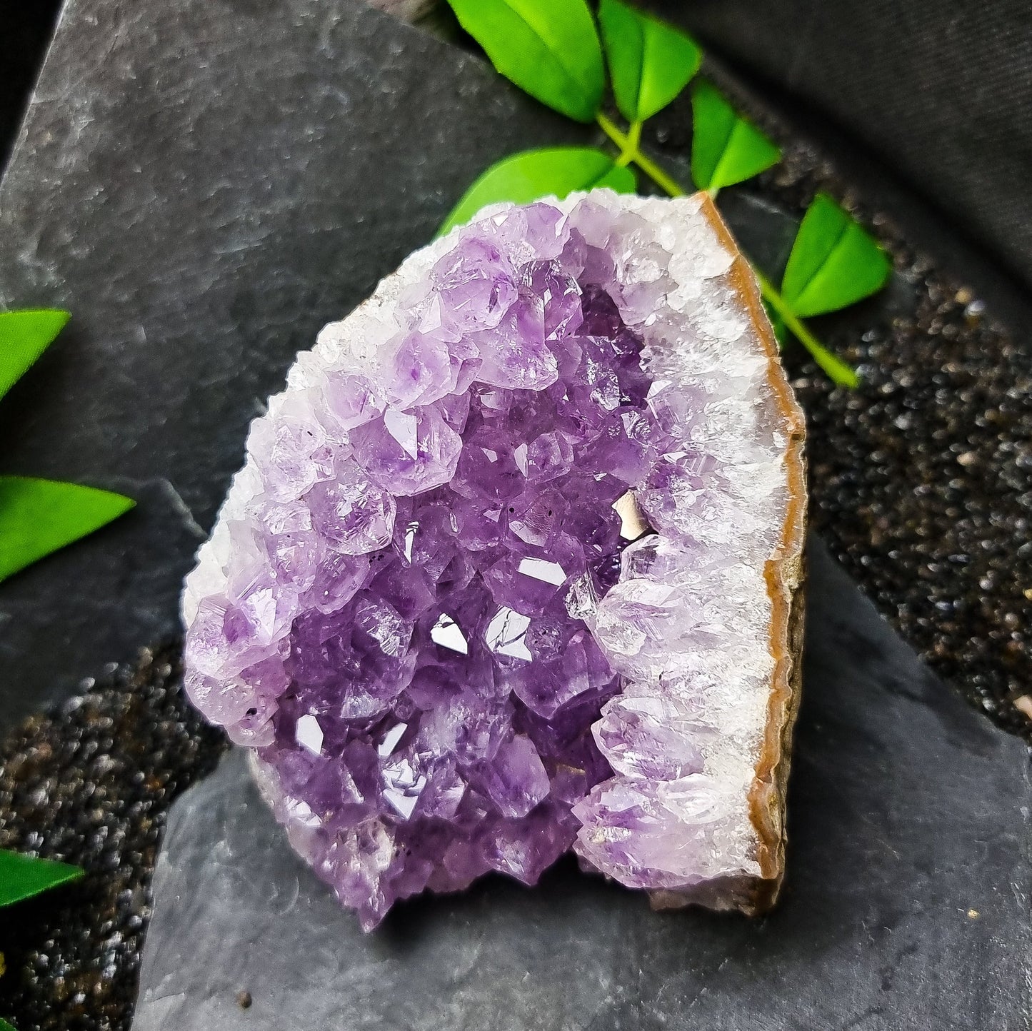 Cut Base Amethyst Cluster