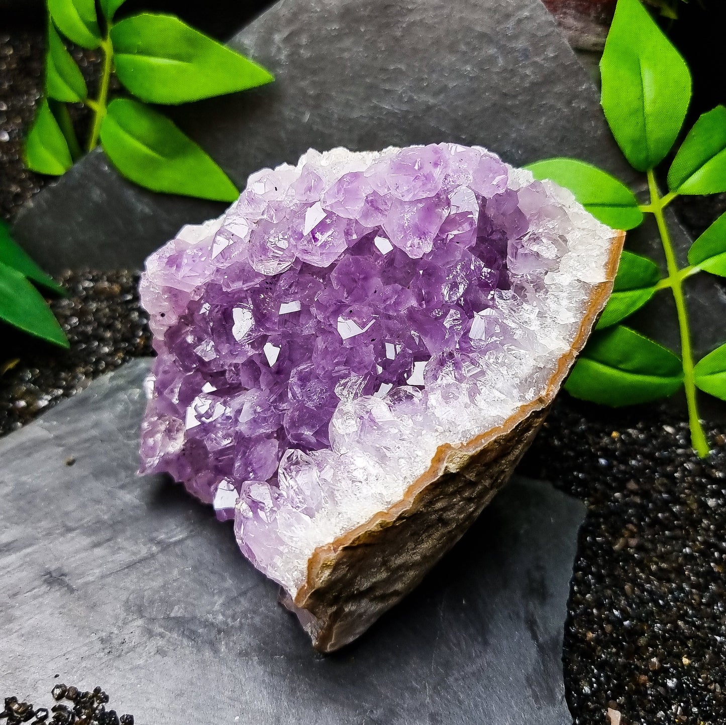 Cut Base Amethyst Cluster