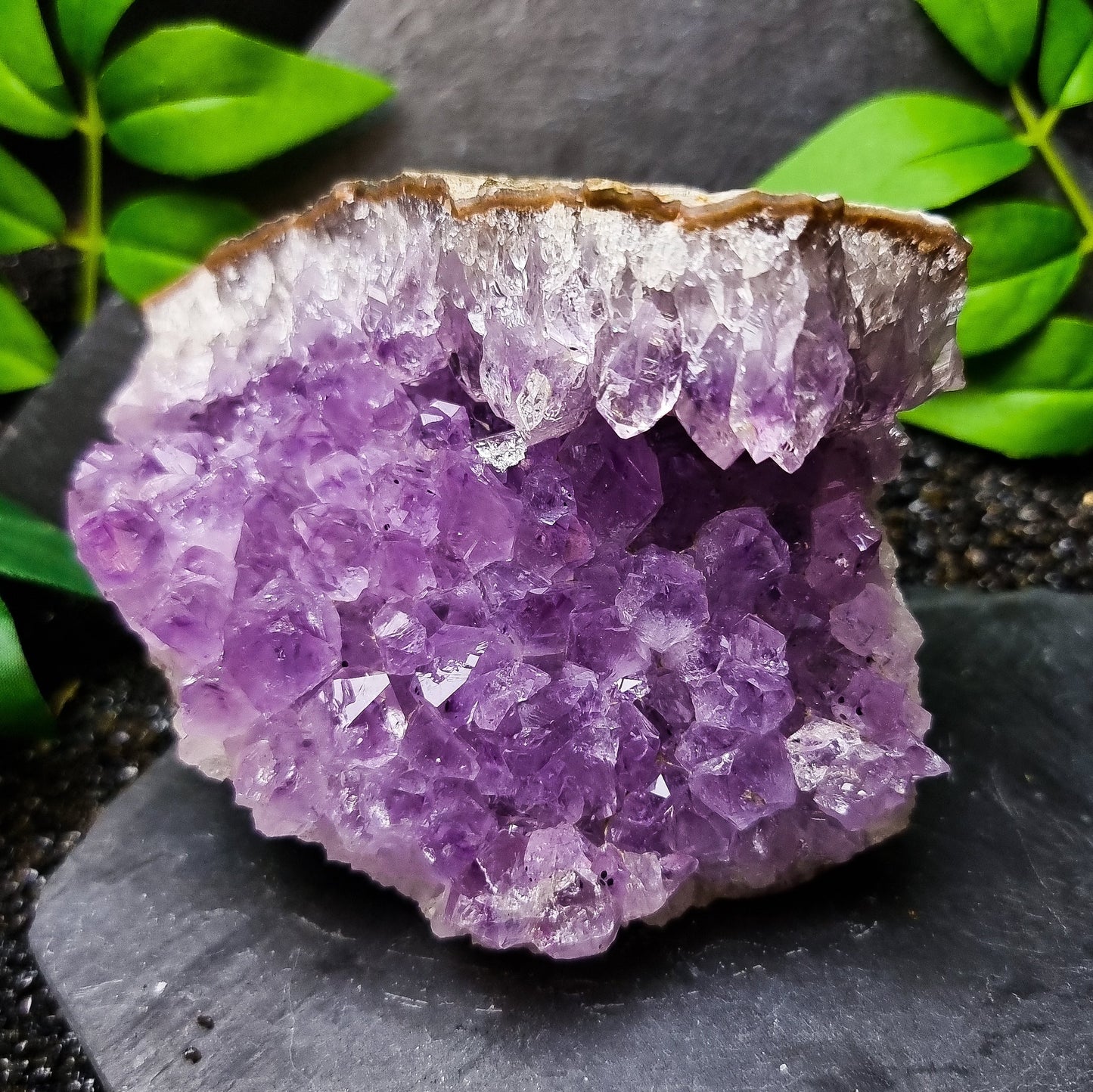 Cut Base Amethyst Cluster