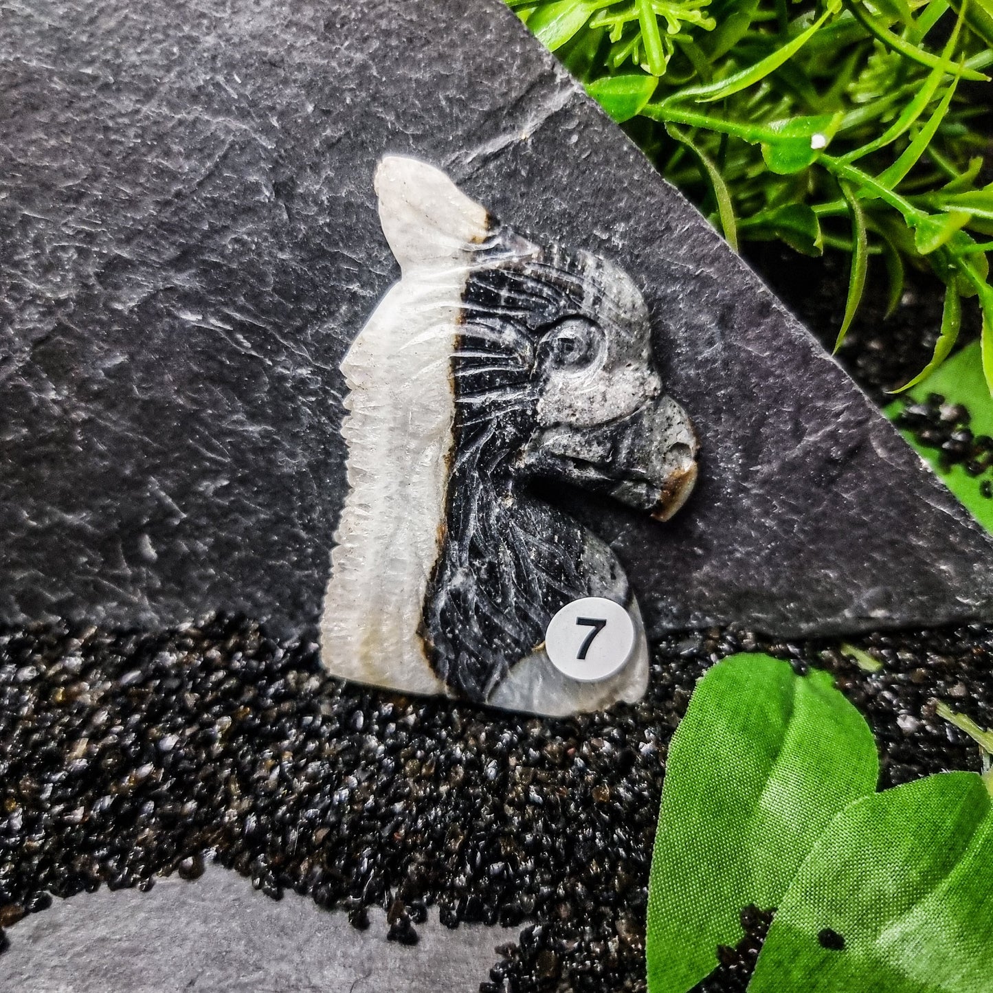 Snow Agate Griffin