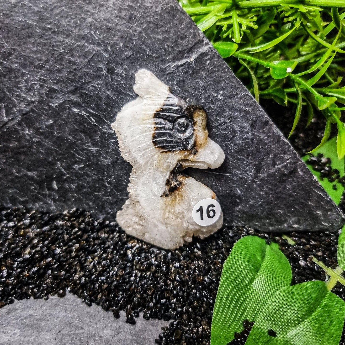 Snow Agate Griffin