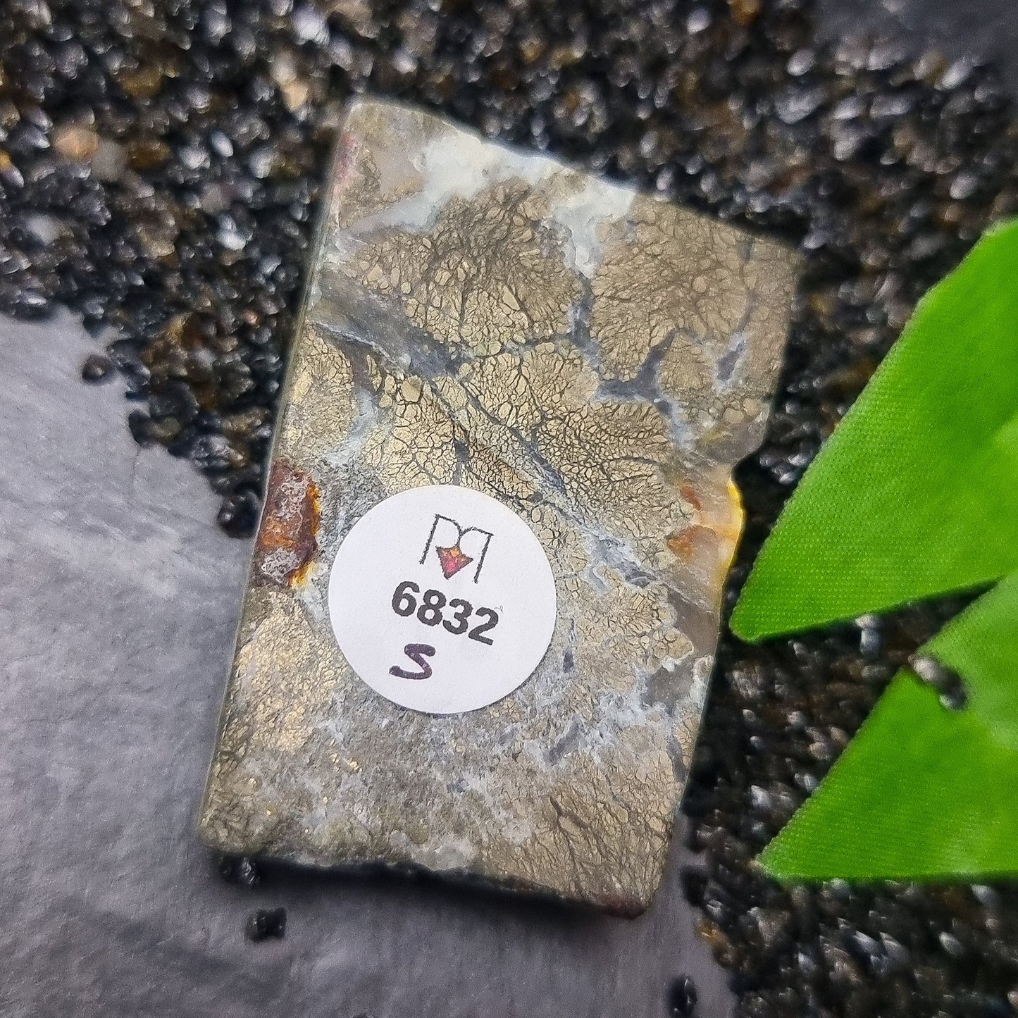 Pyrite in Chalcedony