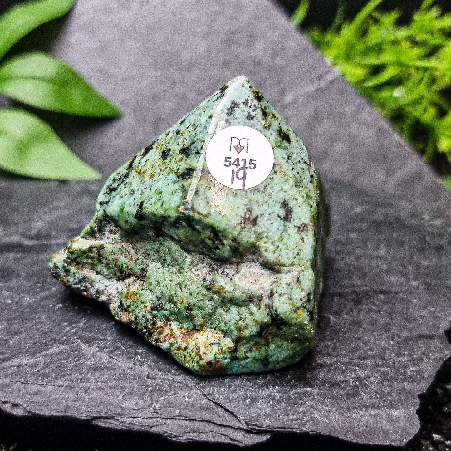 Turquoise Generator