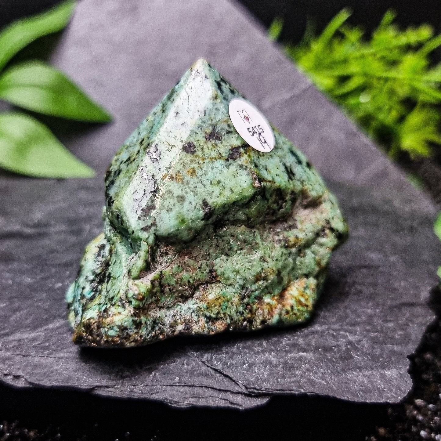 Turquoise Generator