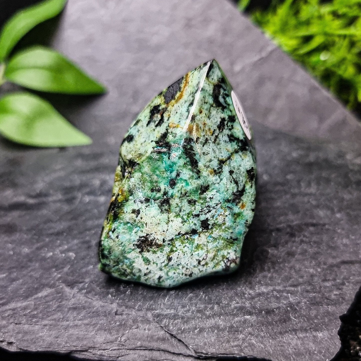 Turquoise Generator