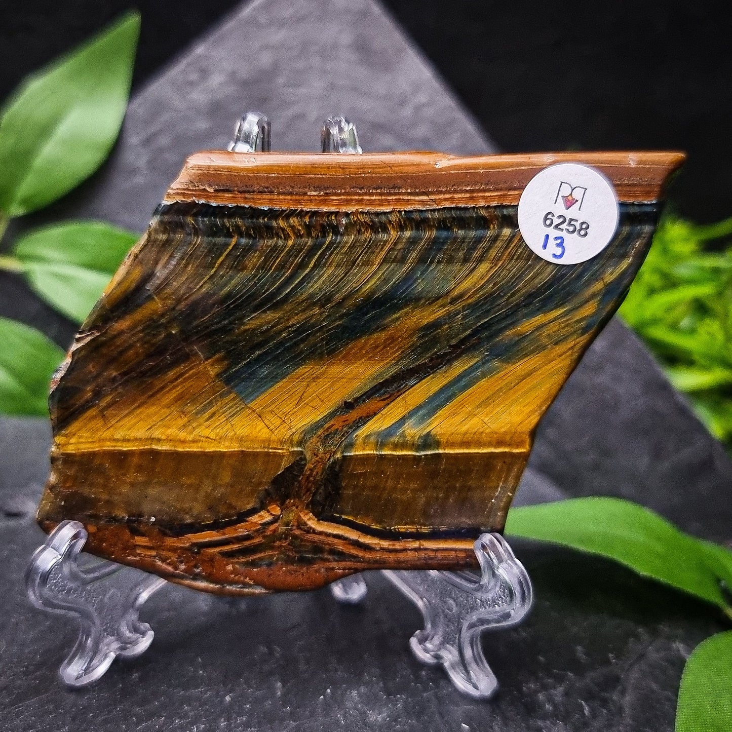 Blue Tiger's Eye Slices (Hawks Eye)