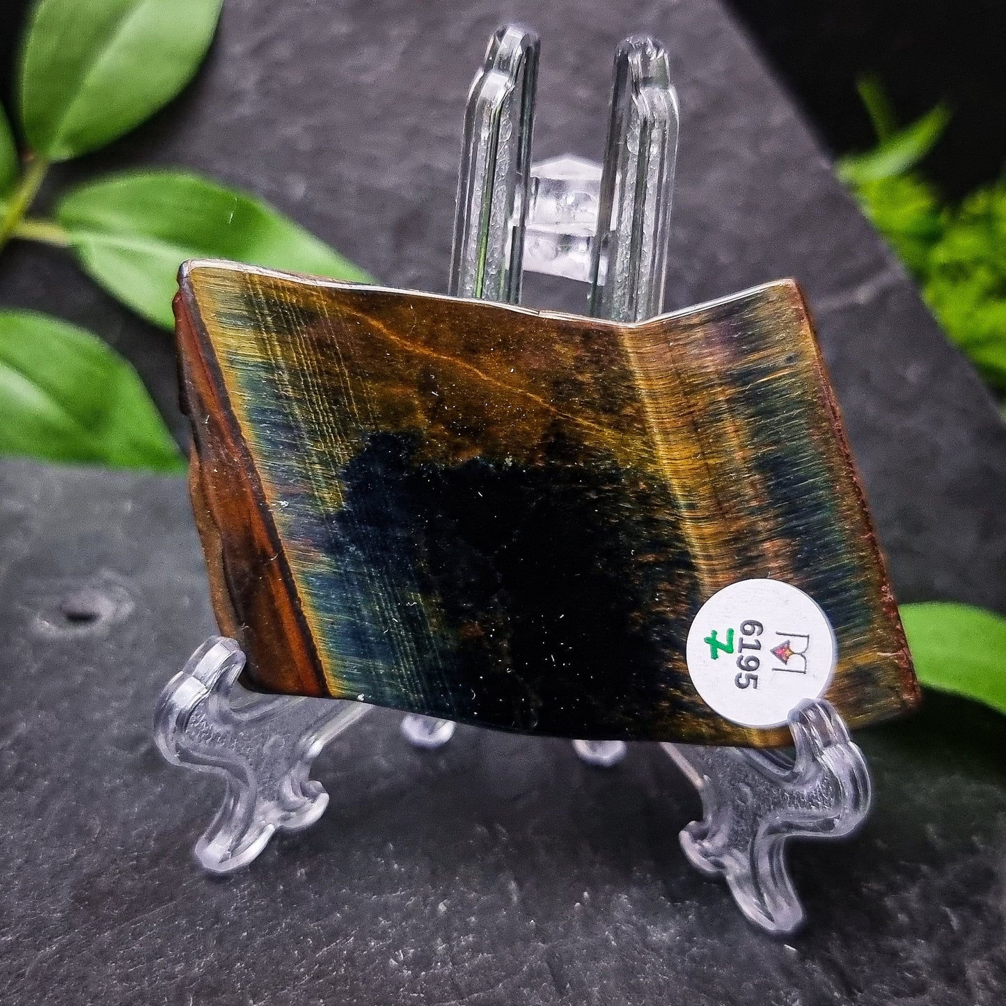 Blue Tiger's Eye Slices (Hawks Eye)