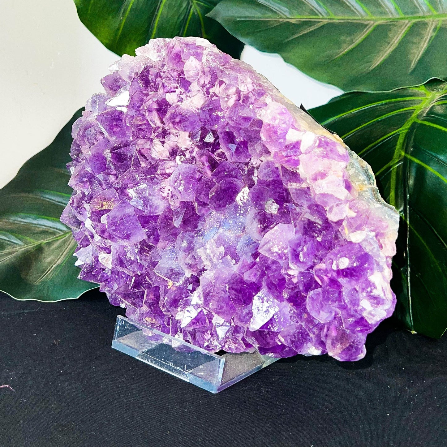 Amethyst Cluster