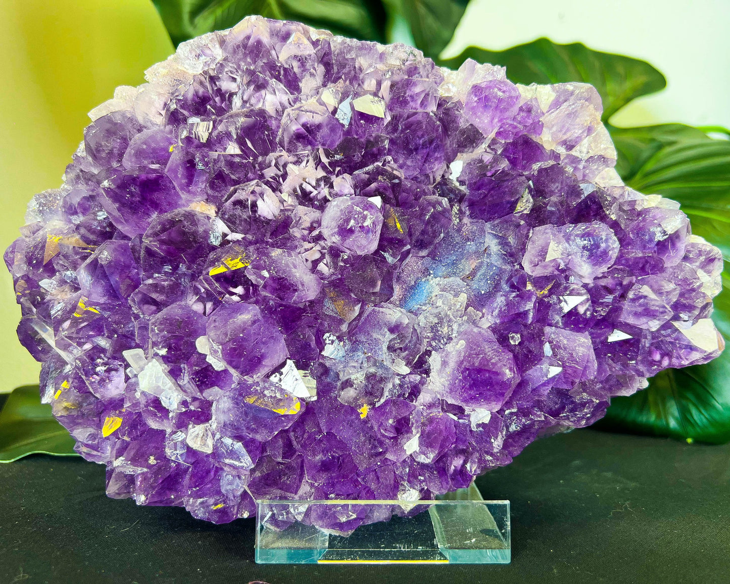 Amethyst Cluster