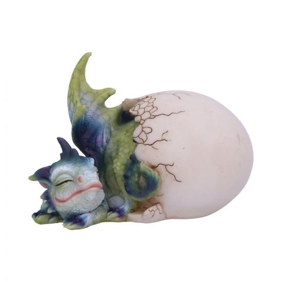 Hatchling's Rest
