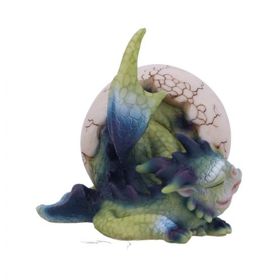 Hatchling's Rest