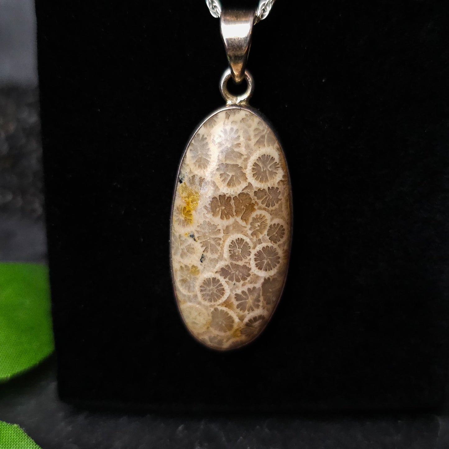 Fossilised Coral Pendant No. 10