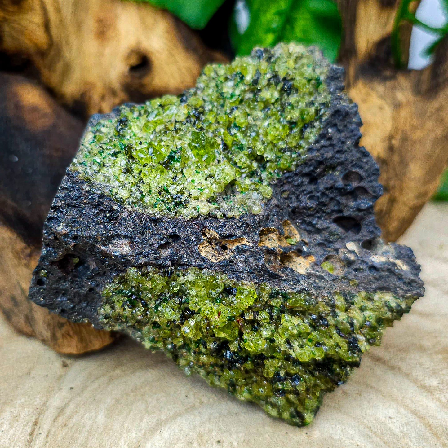 Raw Peridot on Lava Rock