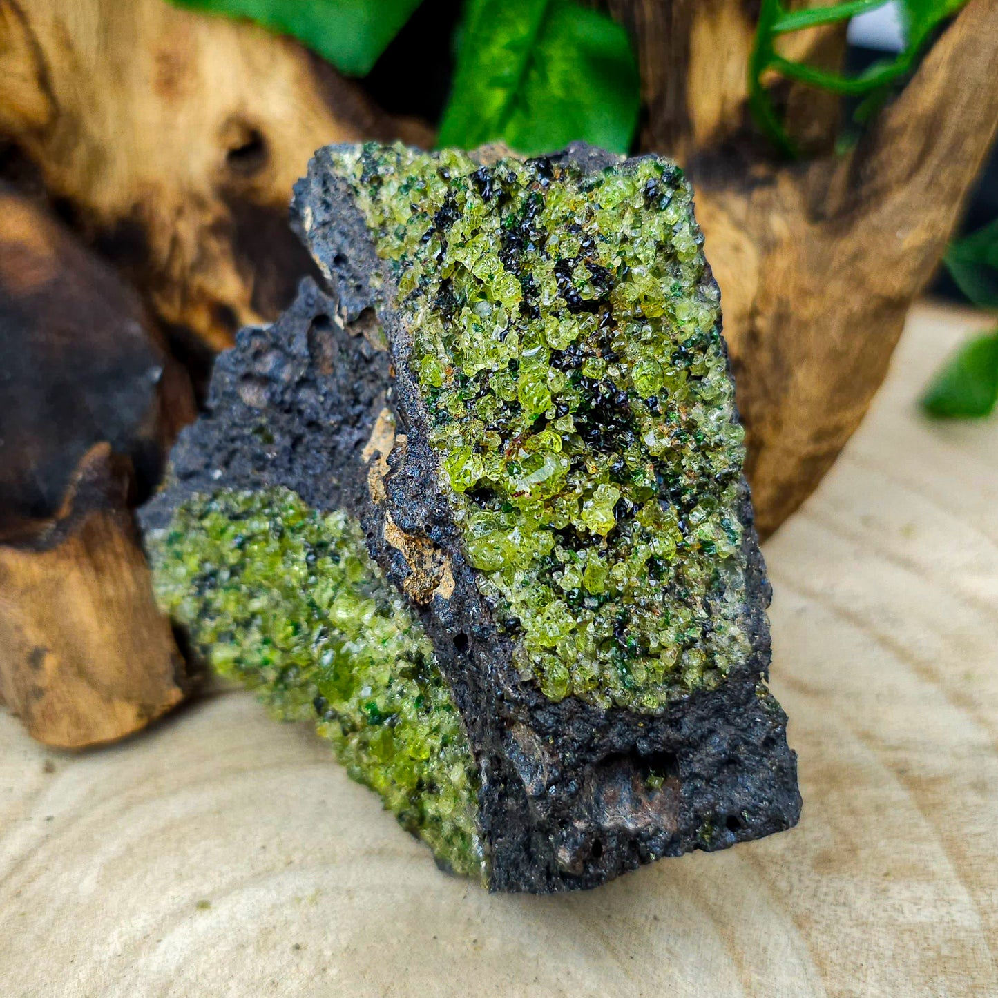 Raw Peridot on Lava Rock