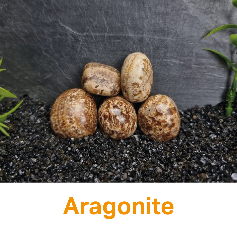 Argonite Rocks Aragonite Info – Rocks & Rubies