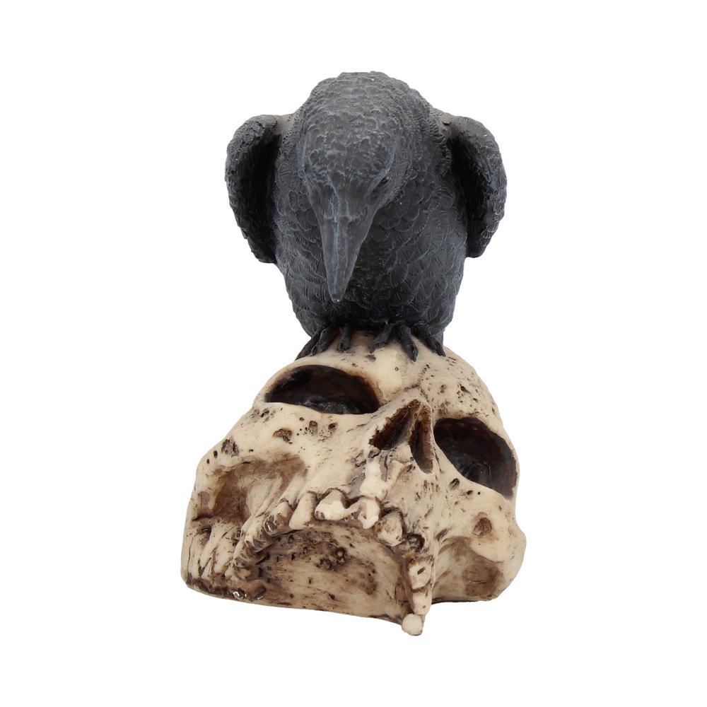 Ravens Remains (13cm)