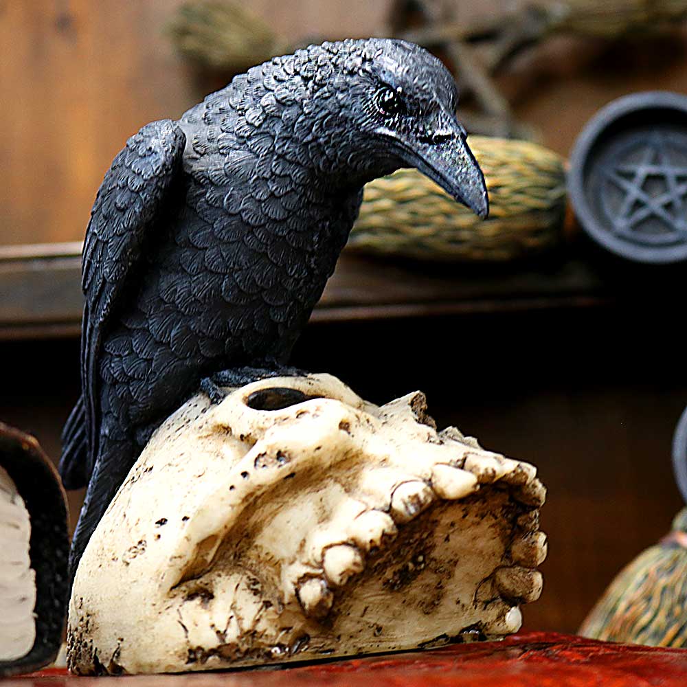 Ravens Remains (13cm)