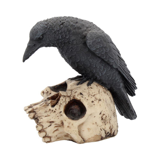 Ravens Remains (13cm)