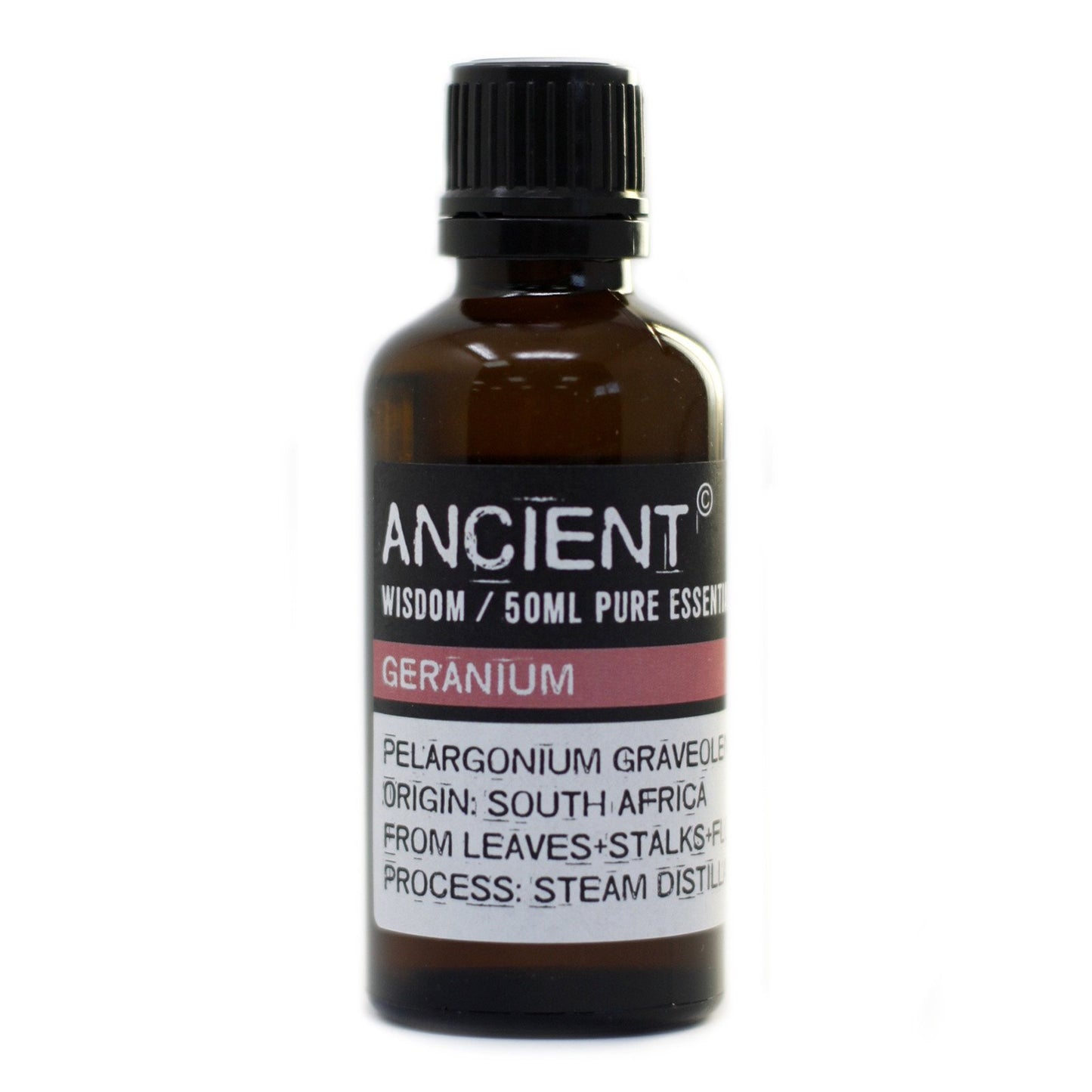 Geranium Essential Oil Professional LARGE 50ml