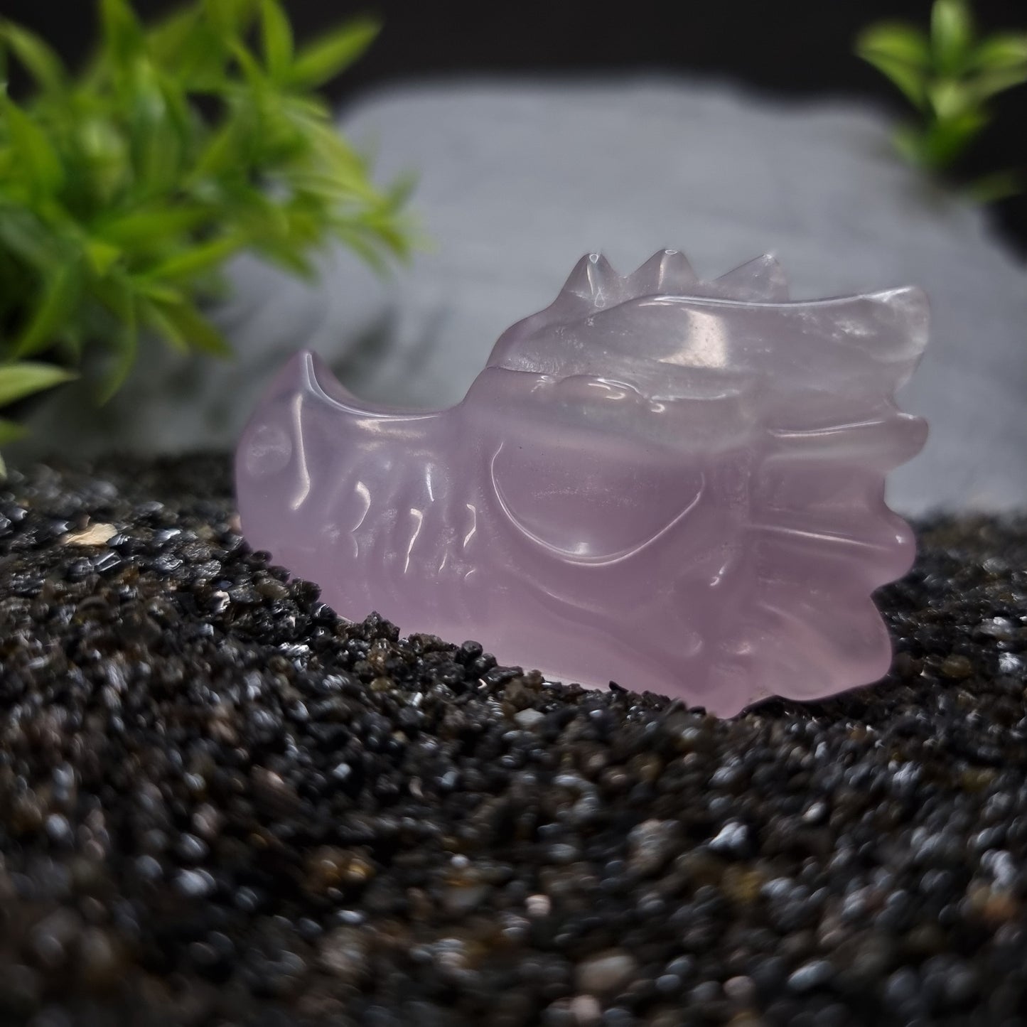 Fluorite Dragon Skull 5cm (Purple)