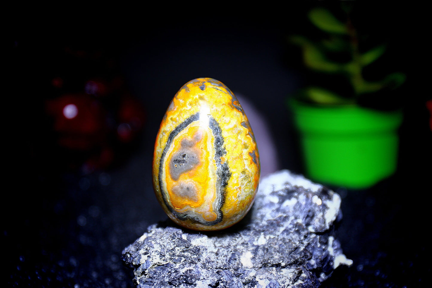 Bumblebee Jasper Eggs