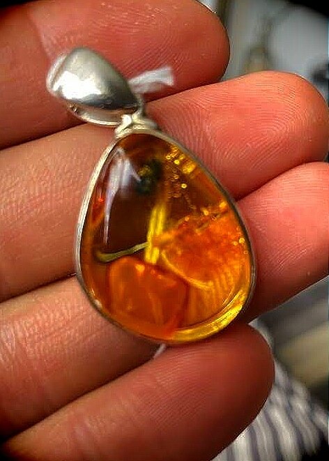 Amber with bug inclusion