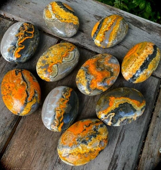 Large Bumblebee Palm stones