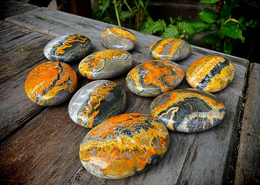 Large Bumblebee Palm stones