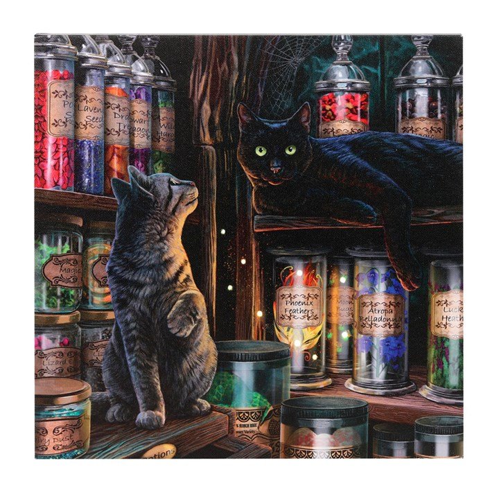 'Magical Emporium' artwork