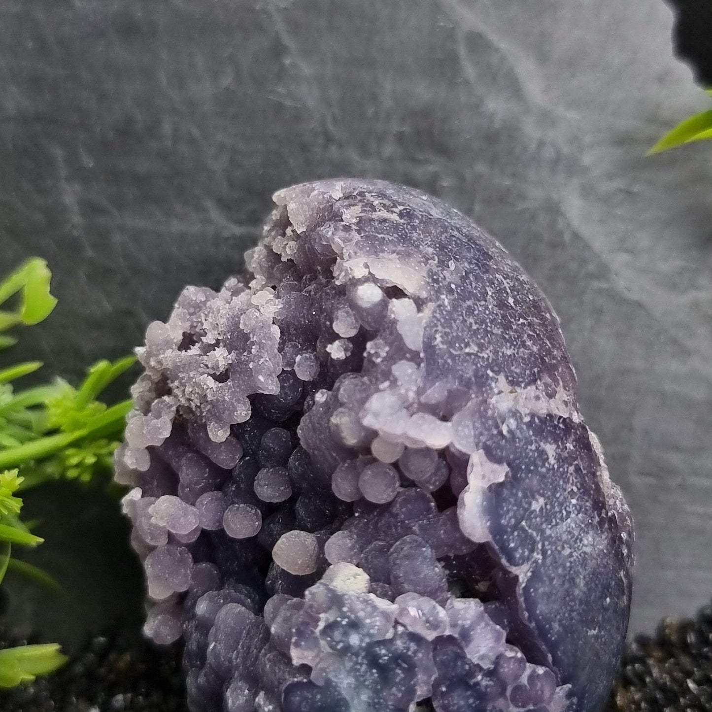 Grape Agate Egg (1182)