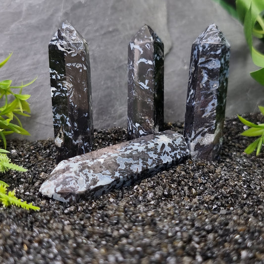 Fossilised Palm Root Tower