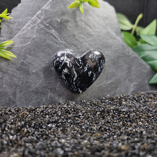 Fossilised Palm Root Heart