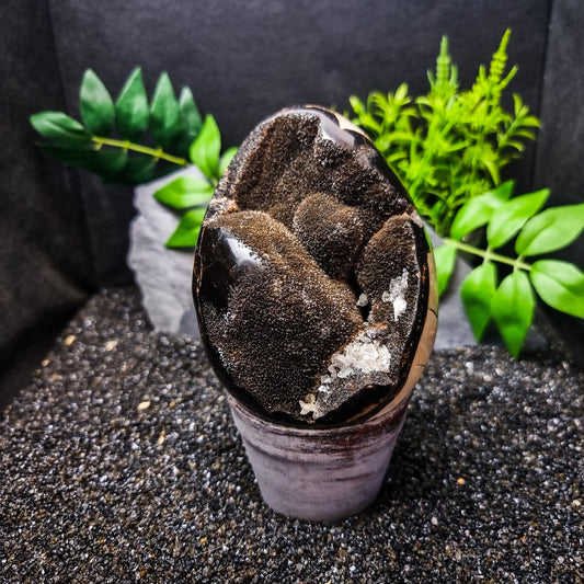 Septarian Egg