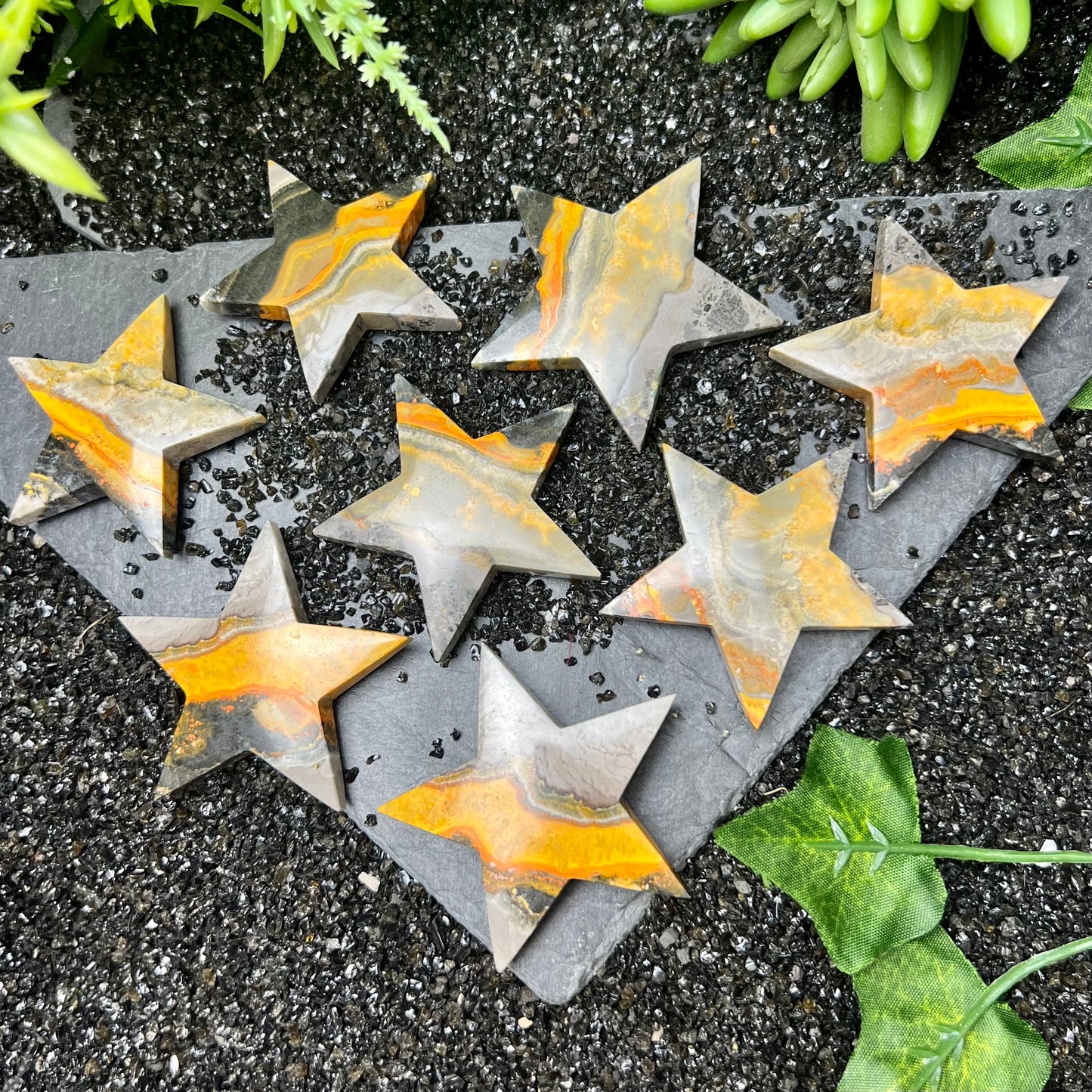 Bumblebee Jasper Stars
