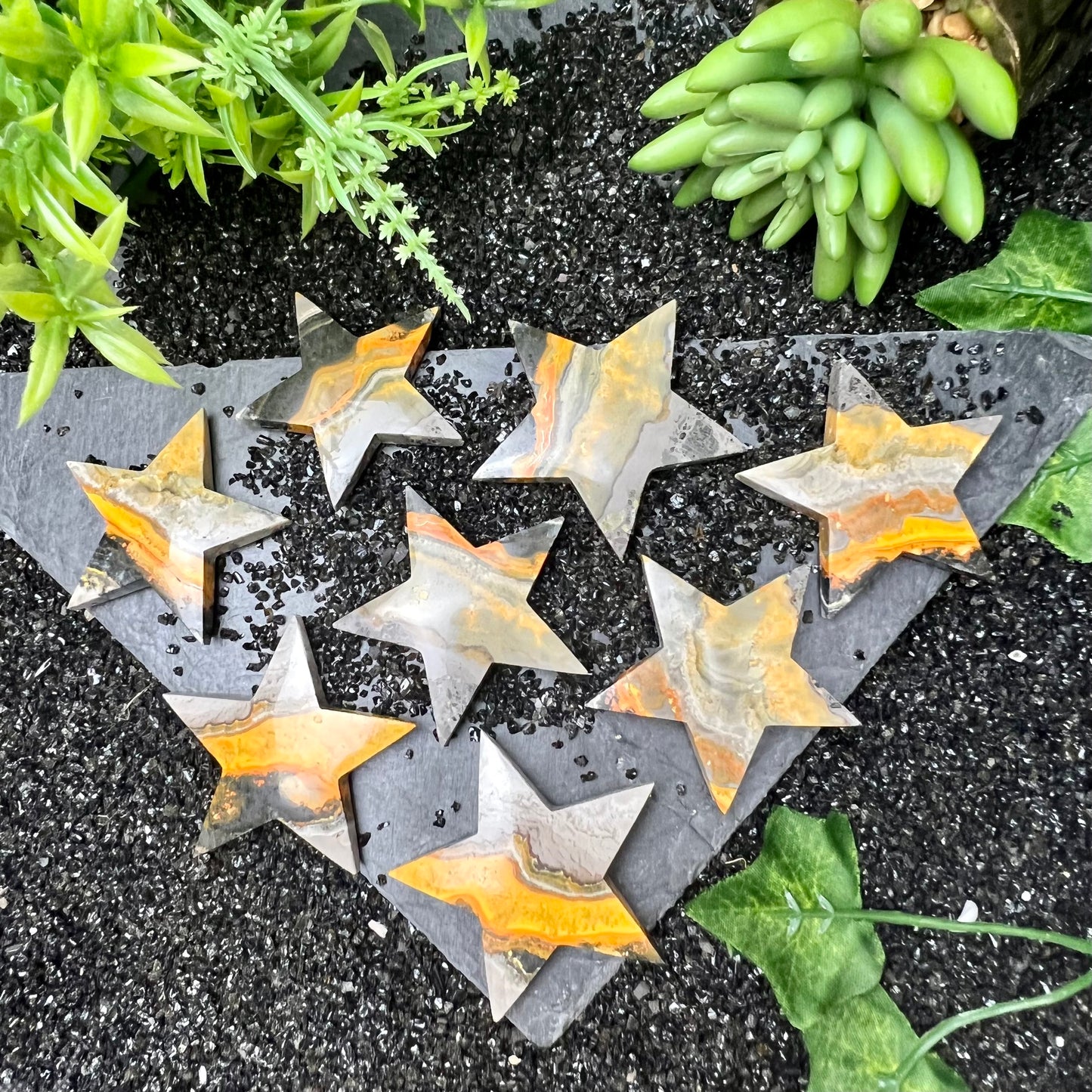 Bumblebee Jasper Stars