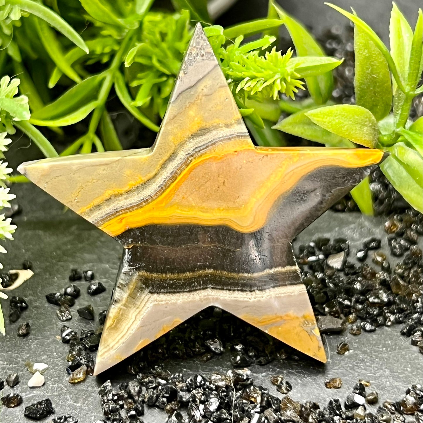 Bumblebee Jasper Stars