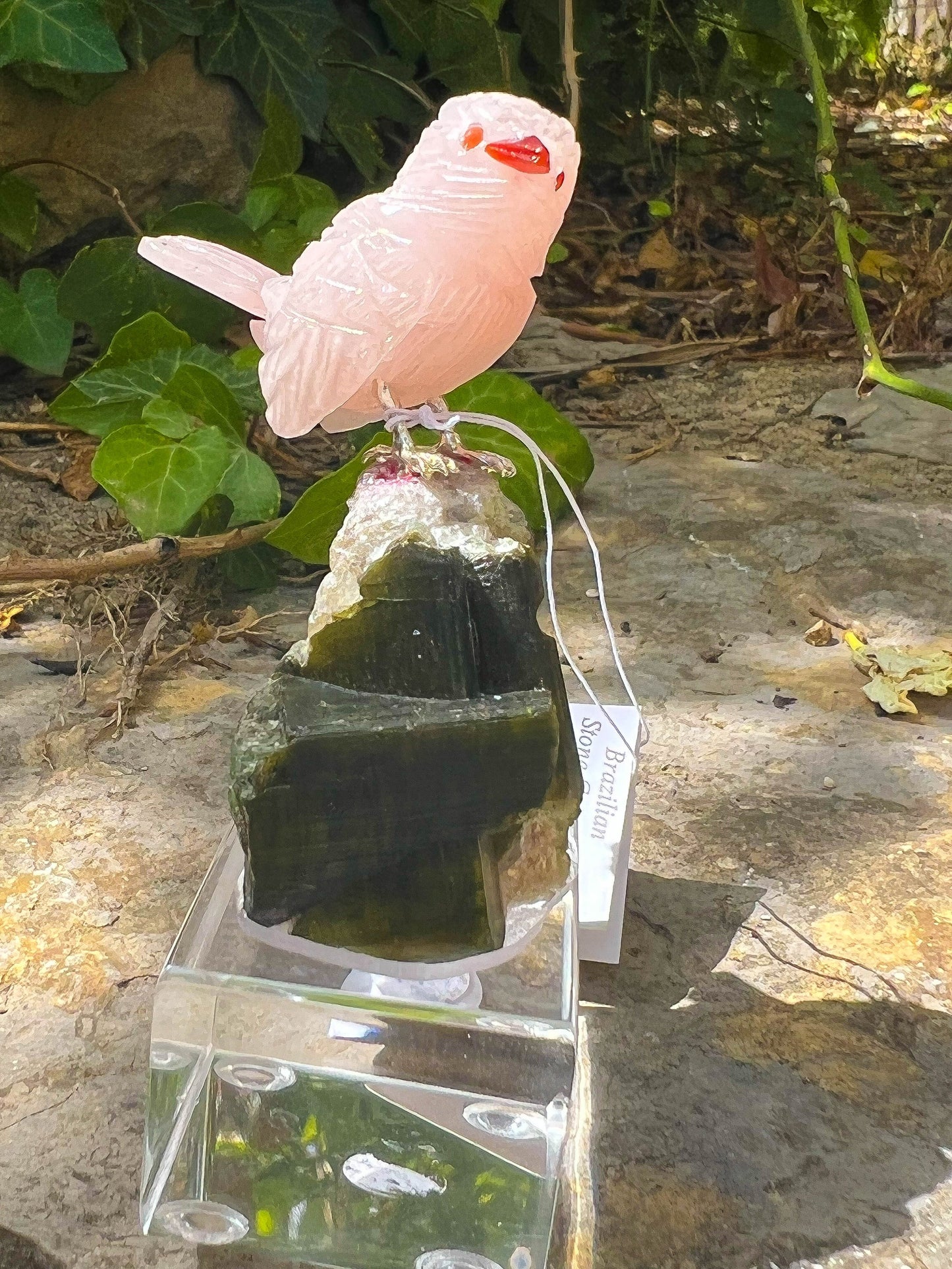 Rose Quartz Sparrow on Watermelon Tourmaline