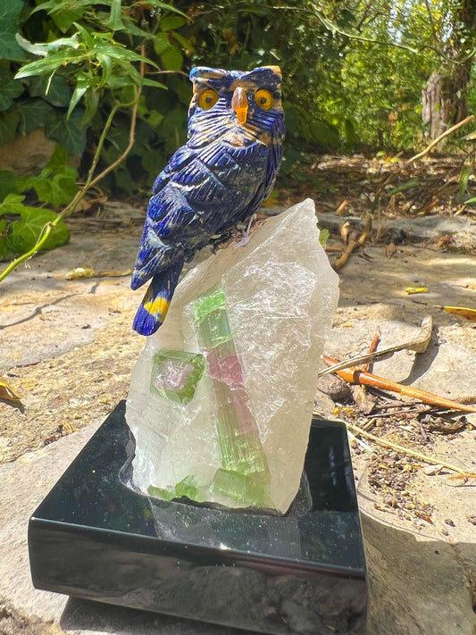 Lapis Lazuli Owl on Watermelon Tourmaline in Quartz