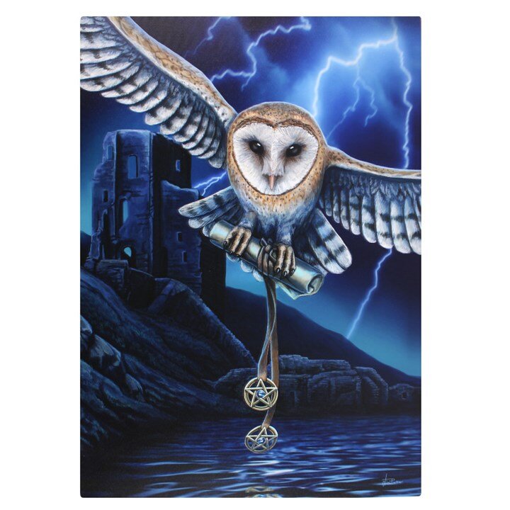 Large Canvas 70cm x 50cm Owl Lisa Parker